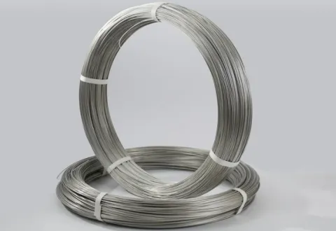 Grain Oriented Electrical Steel Wire